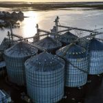 Desastre atingiu duramente agricultura e pecuária do Rio Grande do Sul