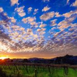 Mais três dias de trégua antes do retorno da chuva