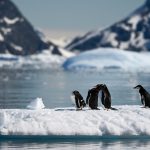 Antártida registra menor temperatura do ano no planeta: -82ºC