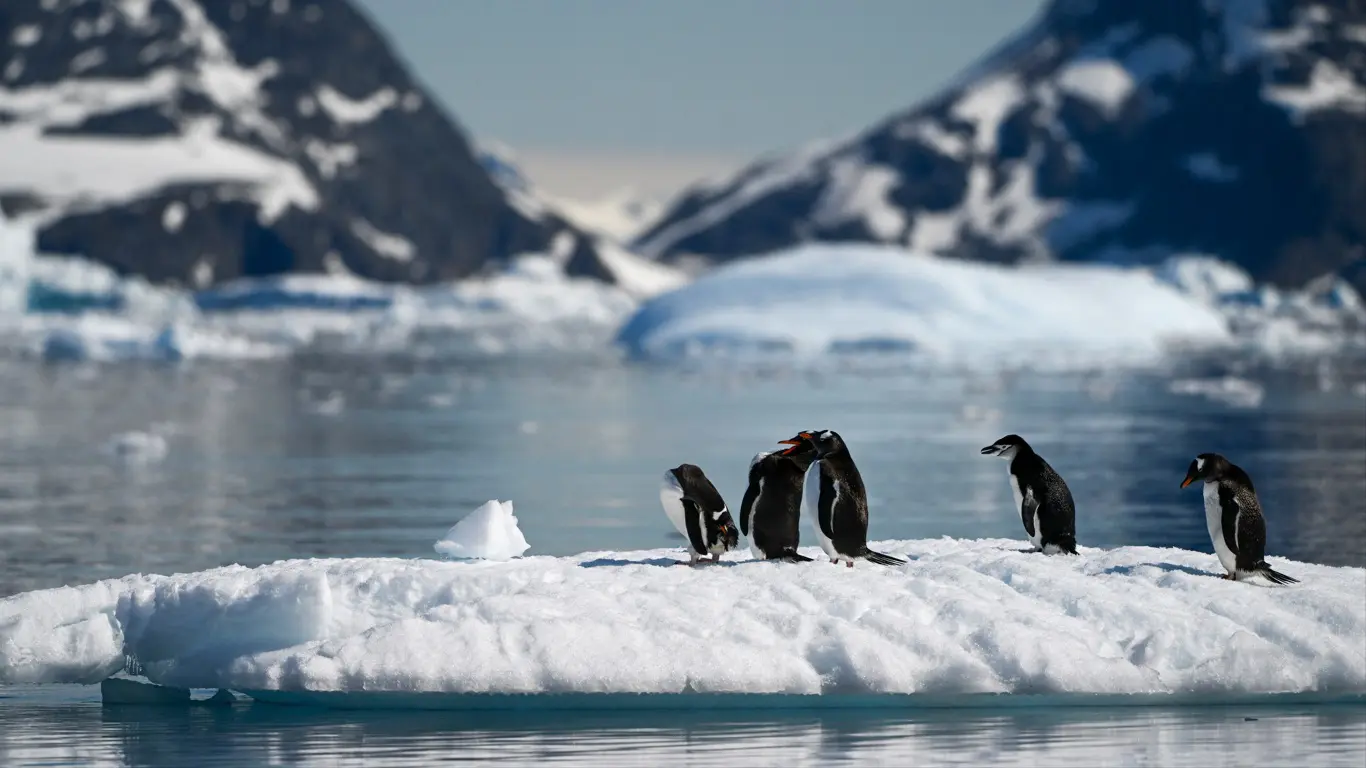 Foto mostra a Antártida e pinguins sobre bloco de gelo 