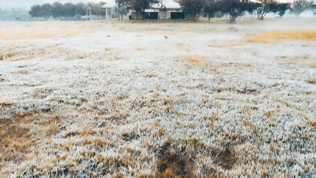 Frio de 1ºC em Porto Alegre e 0ºC na região metropolitana nesta terça