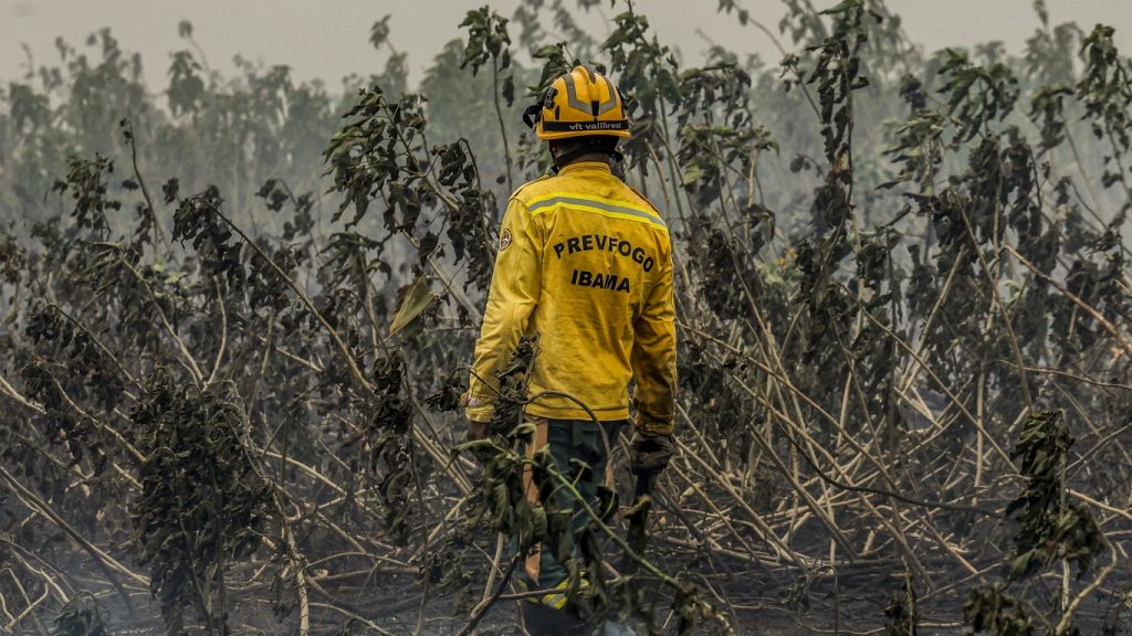 O lado bom da onda de frio: queimadas despencam no Pantanal
