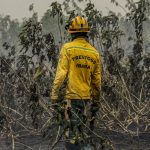 O lado bom da onda de frio: queimadas despencam no Pantanal
