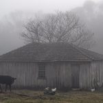 Frio será frequente à noite no Sul do Brasil nos próximos dias