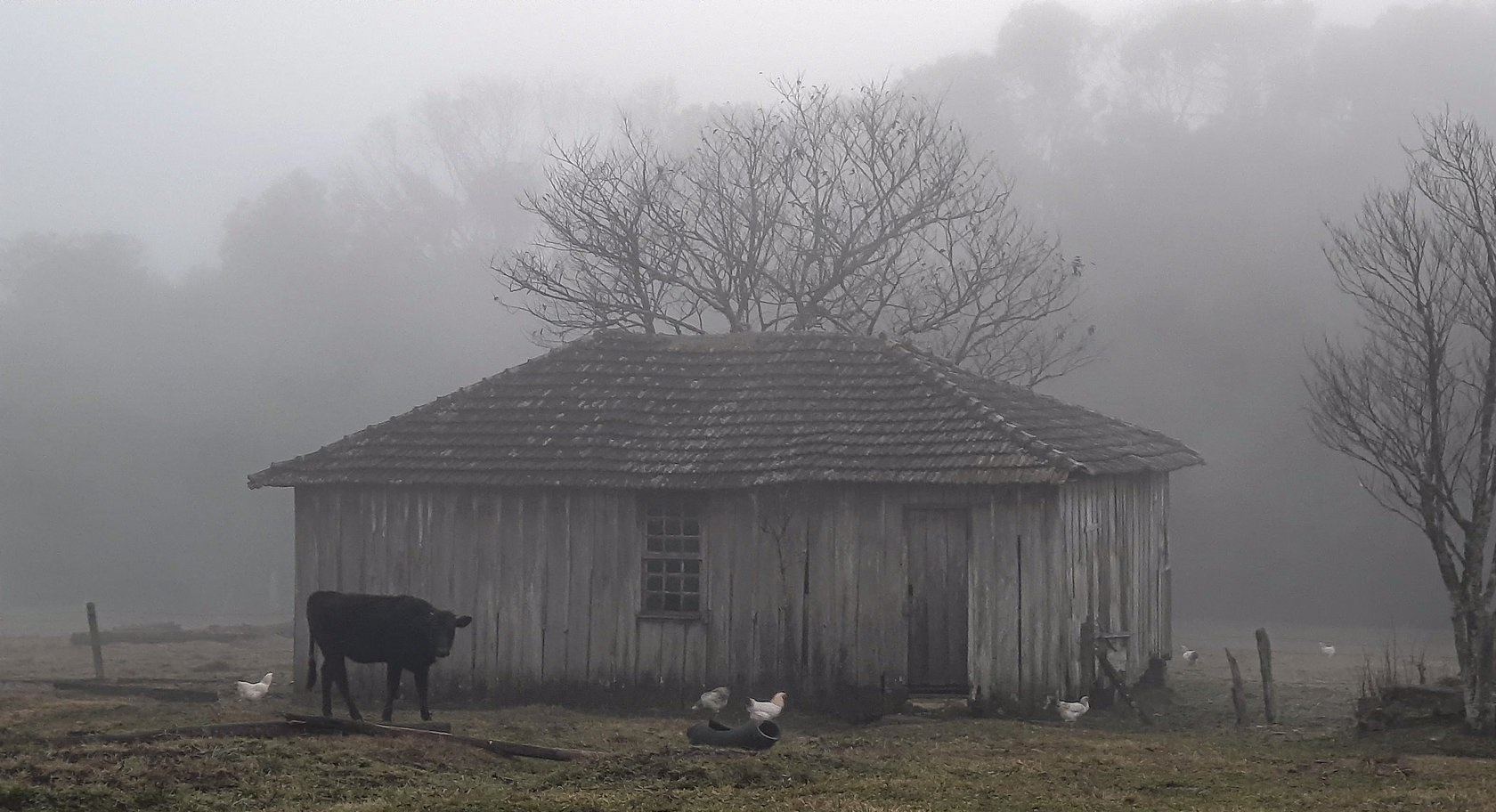 Foto mostra amanhecer frio e com nevoeiro em Sobradinho (RS) 