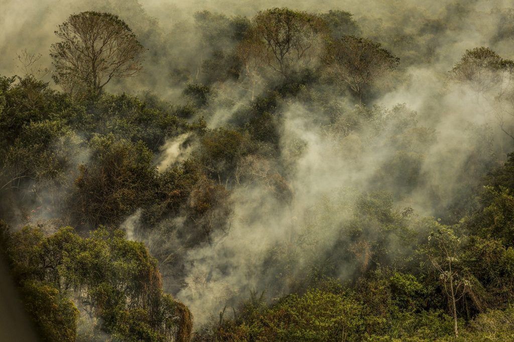 Brasil arde em queimadas: fogo avança na Amazônia, Cerrado e Pantanal