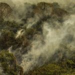 Brasil arde em queimadas: fogo avança na Amazônia, Cerrado e Pantanal