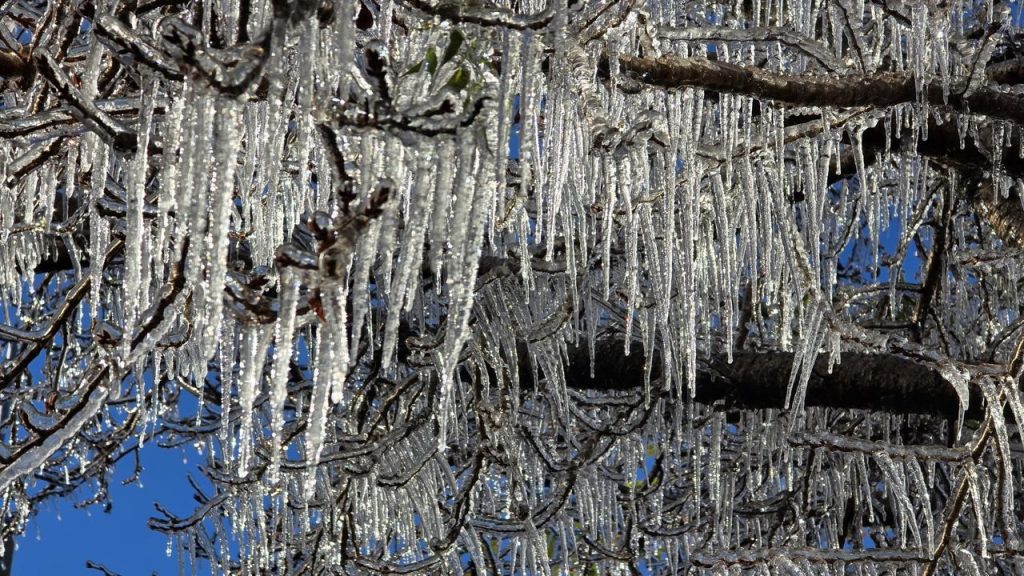 Santa Catarina tem -7,5ºC em outro dia de frio extremo