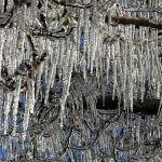 Santa Catarina tem -7,5ºC em outro dia de frio extremo