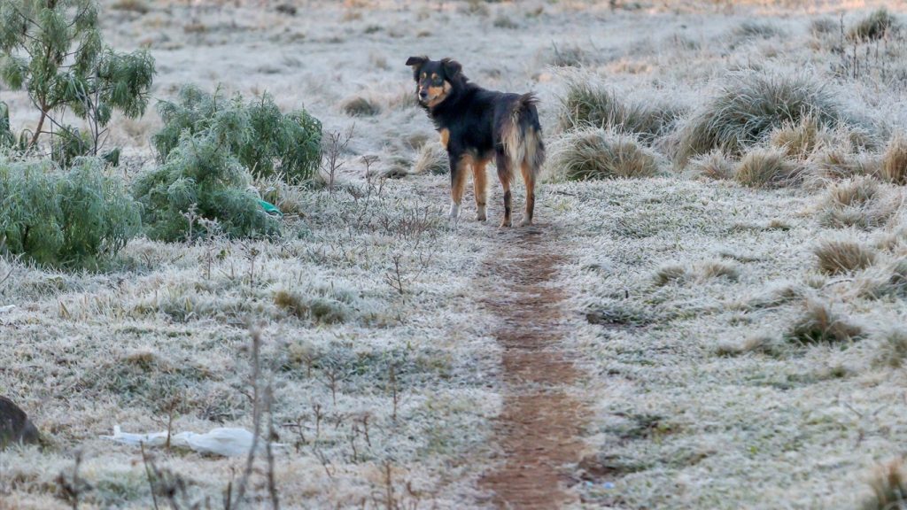 Frio extremo e o retorno da chuva vão marcar a terça-feira; veja a previsão