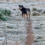 Frio extremo e o retorno da chuva vão marcar a terça-feira; veja a previsão
