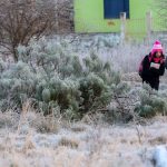 Onda de frio atinge o seu máximo com -9ºC no Rio Grande do Sul