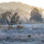 Rio Grande do Sul segue abaixo de zero perto do fim da onda de frio