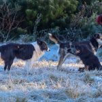 Frio sem trégua: veja a lista de temperaturas mínimas desta quarta-feira