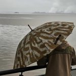 Dias de castigar: muito frio, umidade, chuva, garoa e até chuva congelada