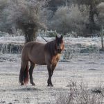 Fim de semana começou (pra variar) com frio abaixo de zero