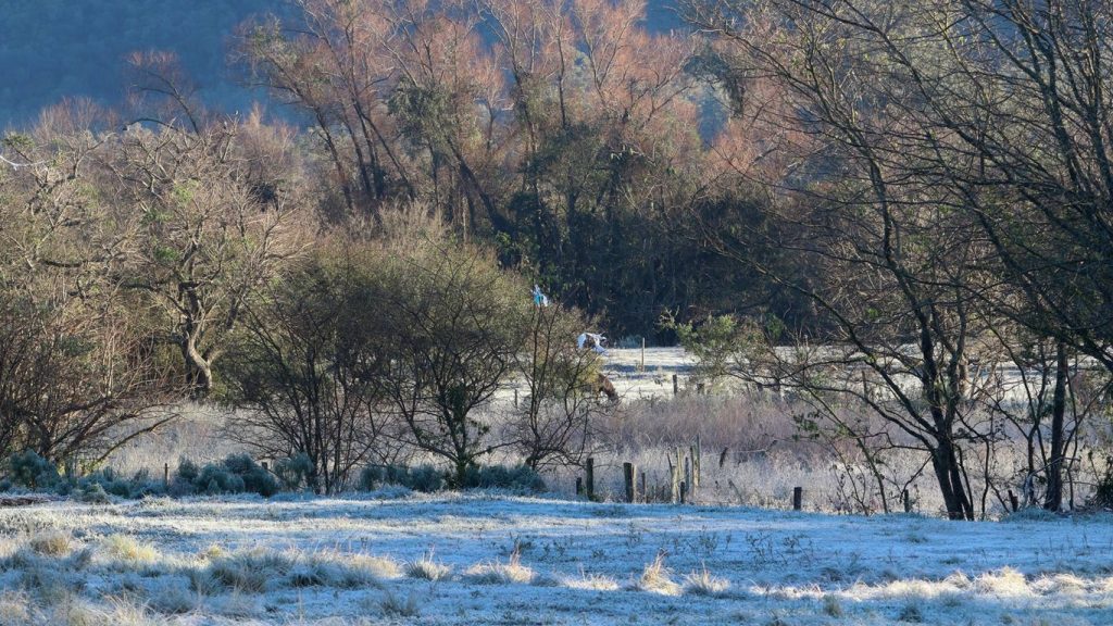 Frio de 4ºC abaixo de zero no Sul do Rio Grande do Sul; veja as mínimas