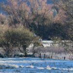 Frio de 4ºC abaixo de zero no Sul do Rio Grande do Sul; veja as mínimas