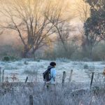 O que esperar do inverno depois da grande onda de frio de 2024