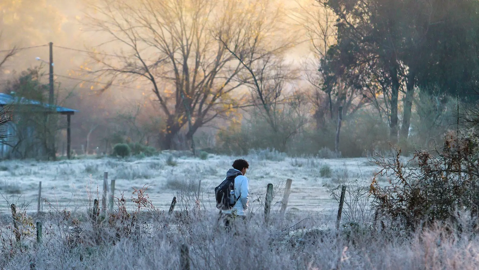 Foto mostra geada pelo frio intenso no auge do inverno em Livramento 