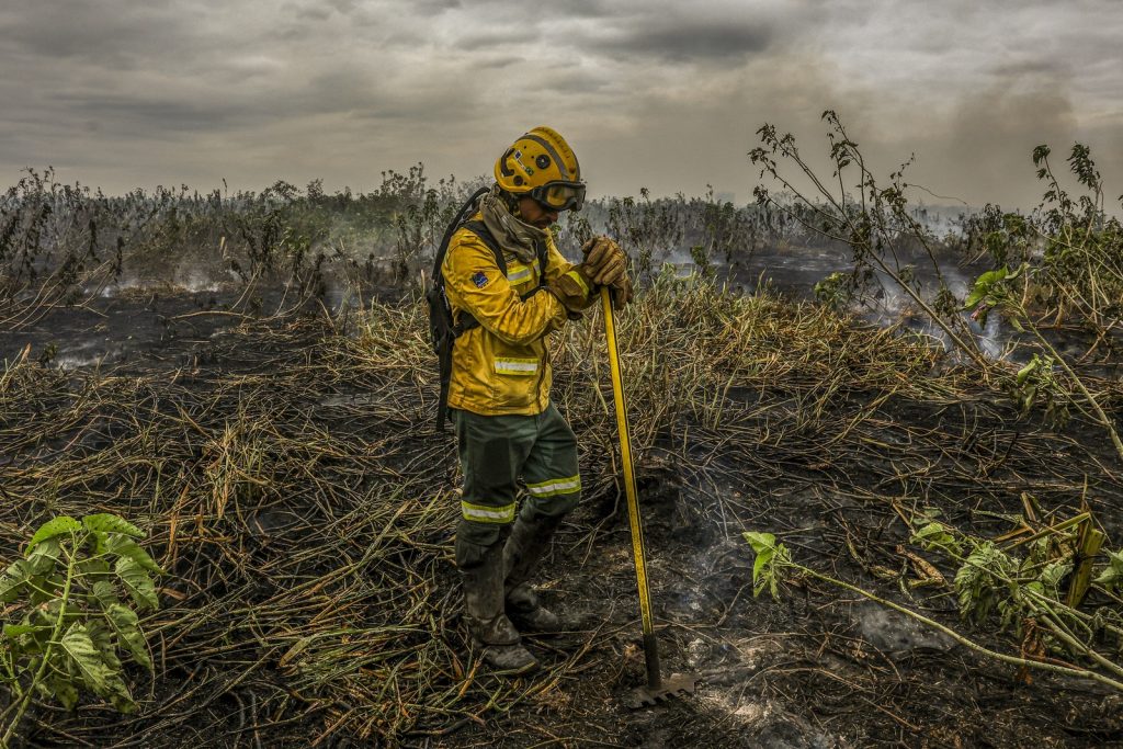 Pantanal atinge metade da média de queimadas de julho em só três dias