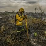 Pantanal atinge metade da média de queimadas de julho em só três dias