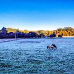 Semana fria terá chuva e gelo em várias regiões; veja tendência dia a dia
