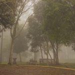 Baixa pressão traz chuva, garoa e nevoeiro sob ar gelado e muito frio