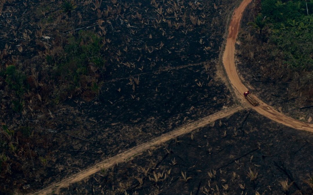 Um país sob fogo: Brasil registra o pior julho de queimadas em 20 anos Amazônia contribuiu fortemente para o pior julho de queimadas no Brasil em duas décadas. Pantanal teve outro mês de muito fogo.