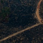 Um país sob fogo: Brasil registra o pior julho de queimadas em 20 anos