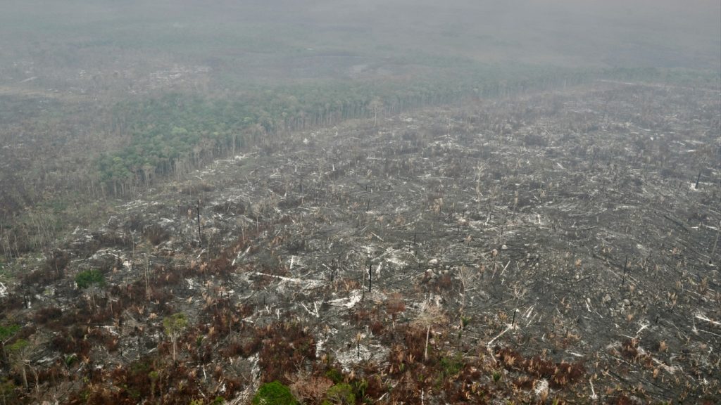 Amazônia: pior dia de fogo do ano até agora com quase 2 mil queimadas