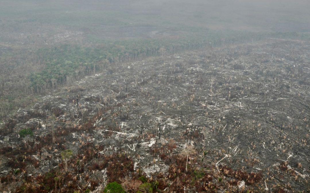 Amazônia: pior dia de fogo do ano até agora com quase 2 mil queimadas Semana começou com número muito alto de queimadas na Amazônia com muito fogos nos estados de Rondônia e Amazonas