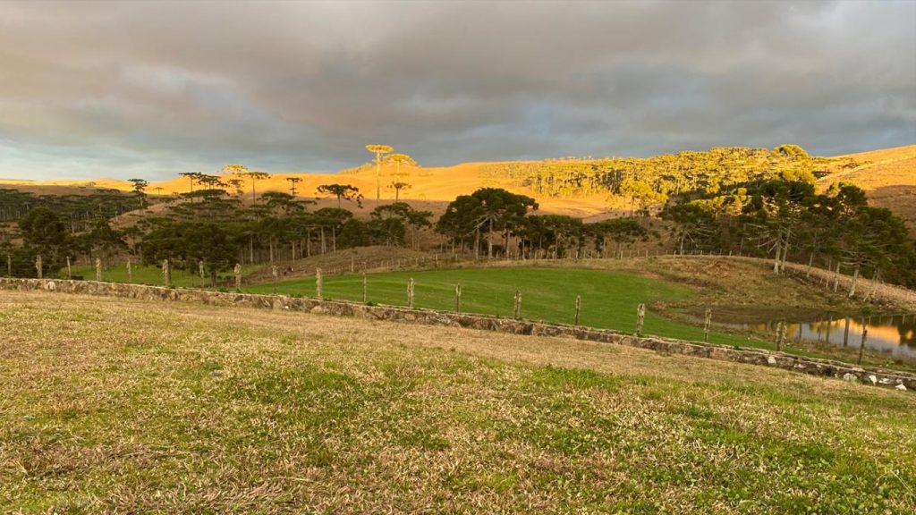 Neve isolada, chuva congelada, vento e muito frio no Rio Grande do Sul