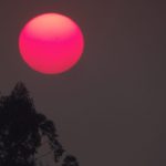 Fumaça de queimadas na Amazônia cobre o Sul do Brasil; veja imagens
