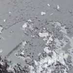 Frio intenso provoca raro fenômeno de precipitação no Sul do Brasil