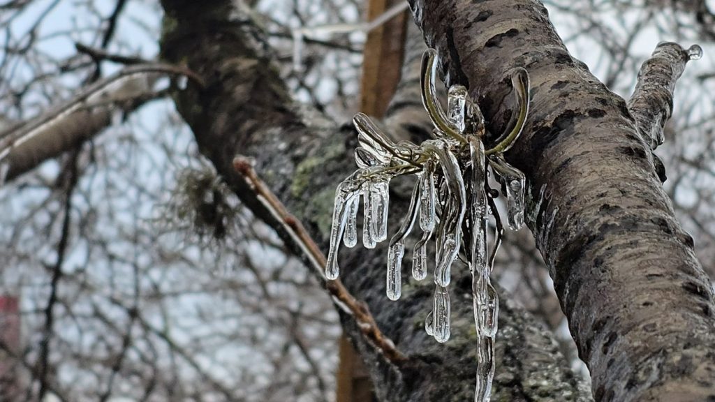 Frio não dá trégua e Sul do Brasil seguirá abaixo de zero