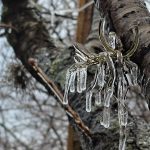 Frio não dá trégua e Sul do Brasil seguirá abaixo de zero
