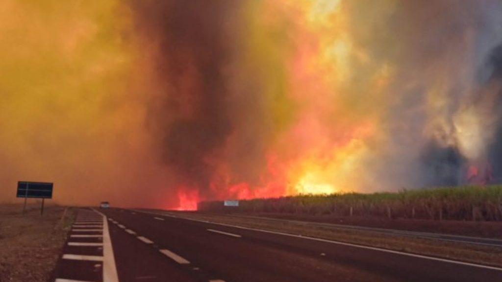 São Paulo tem dia de fogo com mortes e quase duas mil queimadas