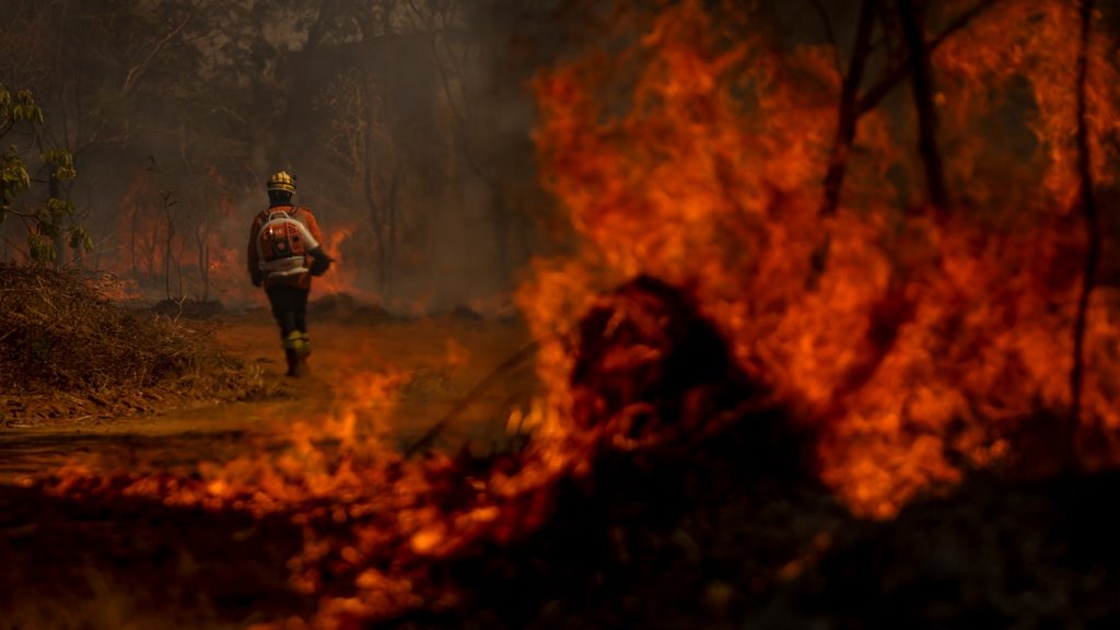 Brasil arde em fogo e gela com neve: o que está acontecendo?