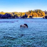 Começo desta terça-feira estará entre os mais frios de 2024