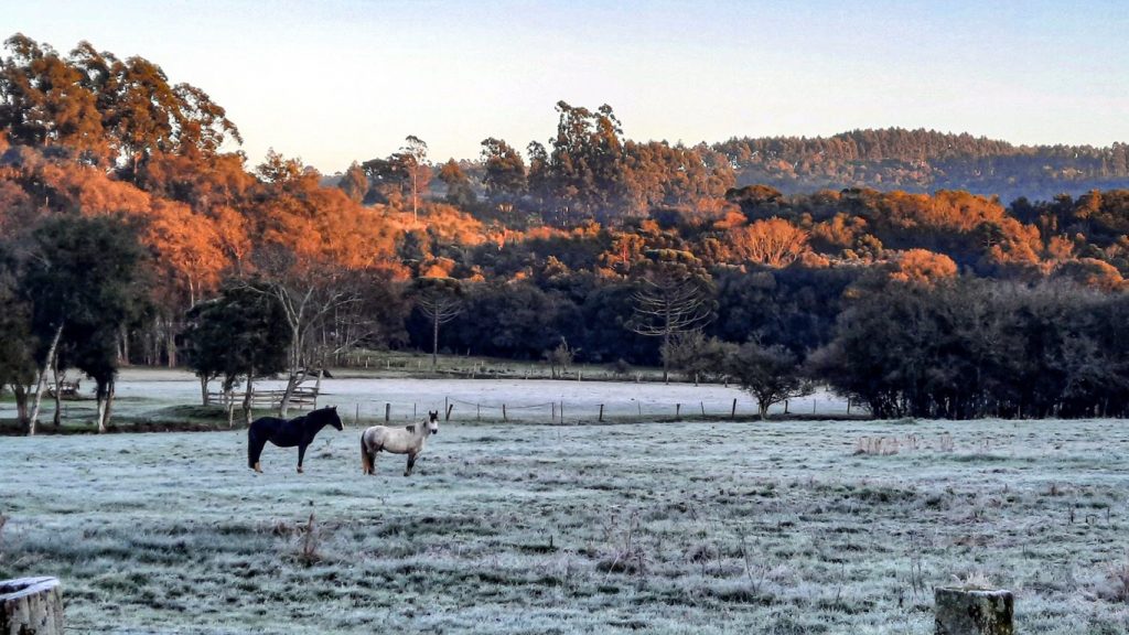 Frio de 0ºC no Sul de Porto Alegre e 5ºC negativos no interior gaúcho