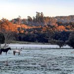 Frio de 0ºC no Sul de Porto Alegre e 5ºC negativos no interior gaúcho