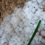 Tempestade de granizo cobre de gelo cidade do Oeste gaúcho