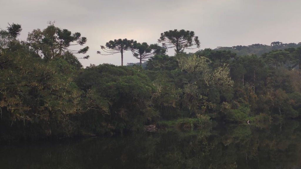 Previsão do tempo: chuva na Metade Sul gaúcha e calor na Metade Norte