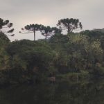 Previsão do tempo: chuva na Metade Sul gaúcha e calor na Metade Norte