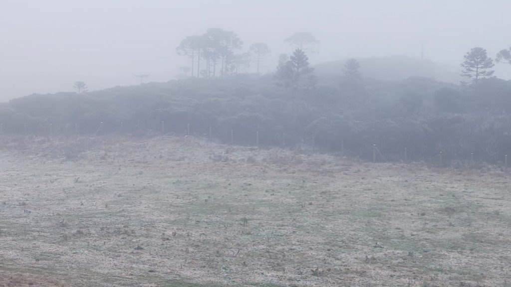 Neve volta a cair no Sul do Brasil, vai aumentar e deve acumular