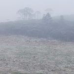 Neve volta a cair no Sul do Brasil, vai aumentar e deve acumular