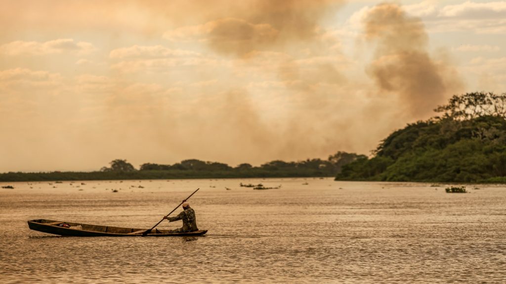 Pantanal supera média de queimadas de agosto inteiro em só seis dias
