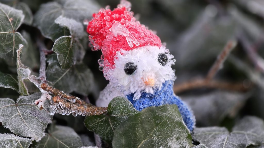 Fotos: frio de quase 7ºC negativos congela paisagem em Santa Catarina