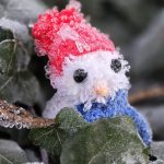 Fotos: frio de quase 7ºC negativos congela paisagem em Santa Catarina